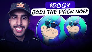 🔥 THE DOG MEMECOIN THATS GOING TO MOON 🔥 DOGY 🔥 JOIN THE PACK NOW [upl. by Kosse]