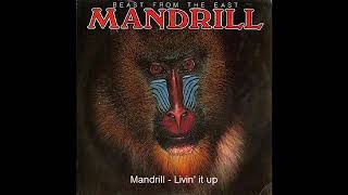 Mandrill  livin it up [upl. by Kopaz]