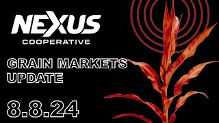 Nexus Grain Update  August 8 2024 [upl. by Naashom]