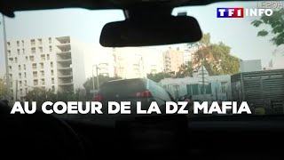 Au coeur de la DZ mafia｜TF1 INFO [upl. by Zadoc]