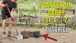 Comment Planter un Arbre [upl. by Sirah]