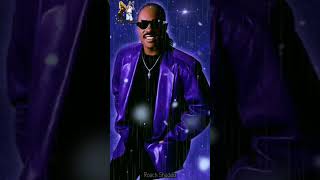 Stevie Wonder  PartTime Lover quotVideo Cortoquot [upl. by Legnaleugim]