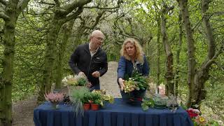 Hoe maak je de mooiste grafstukjes  Tuintip vanuit Kasteeltuinen Arcen [upl. by Flower]