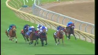 1999 E P Taylor Stakes [upl. by Agle779]