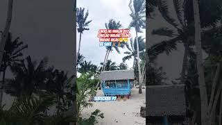 Siargao lifeshortvideo typhoon shortfeed highlights [upl. by Sadella]