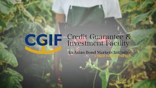 Introducing Credit Guarantee and Investment Facility Issuer Version [upl. by Adnofal]