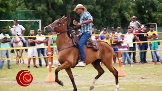 1er Concurso de Caballos Criollos de Vaquería Ronda 1  Parte 1  Villa Rosa Atl 2018 [upl. by Paxton821]