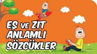 Eş ve Zıt Anlamlı Sözcükler  2 Sınıf Türkçe 📚 [upl. by Eittik]