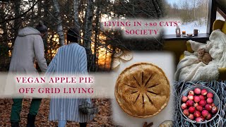 VEGAN GLUTEN FREE APPLE PIE RECIPE  OFF GRID LIVING  RESCUED CATS  SLOW LIFE  RELAXING VIDEO [upl. by Yruoc247]