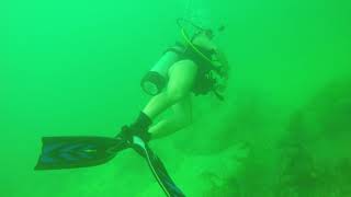 Looe Key Dive 10 Part 2 of 4 [upl. by Atsugua]