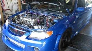 Mazdaspeed Protege Dyno Pulls [upl. by Adnovoj906]