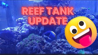 Reef Tank Update [upl. by Yennor10]