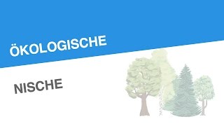 ÖKOLOGISCHE NISCHE  Biologie  Ökologie [upl. by Hniht]