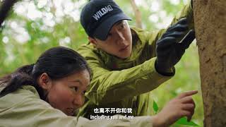 Lighting Hope For Pangolins WildAids Pangolin Conservation PSA With Wang Yibo [upl. by Bettina]