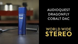 Review AudioQuest DragonFly Cobalt USB DAC Headphone Amplifier [upl. by Polish]