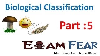 Biology Biological Classification part 5 Archaebacteria CBSE class 11 XI [upl. by Cash]