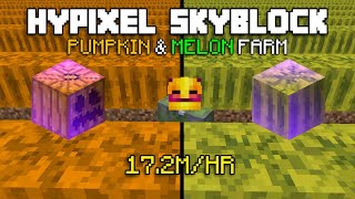 How MelonKing Farms 172 MILLION COINS Per Hour in Hypixel Skyblock [upl. by Birgitta690]