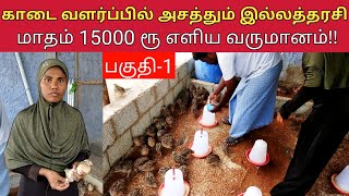 காடை வளர்ப்பில் அசத்தும் இல்லத்தரசி மாதம் ரூ 15000 எளிய வருமானம் பகுதி1 [upl. by Tace597]