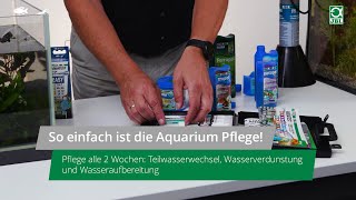 JBL TV 28 Teil 3 So einfach ist die Pflege im Aquarium Alle 2 Wochen [upl. by Noryb]