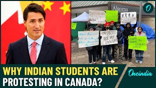 Canada in Chaos 70000 International Students at Risk of Deportation Amidst Massive Protests [upl. by Nortal]