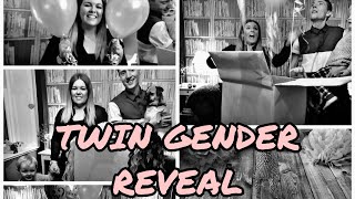 TWIN GENDER REVEAL  PREGNANT AFTER INFERTILITY  CLOMID PREGNANCY [upl. by Avera]