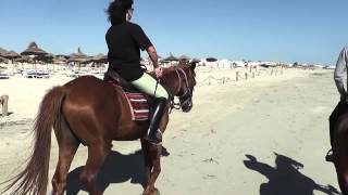 Reiten am Strand [upl. by Rosati]