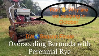 Its Finally ⏰  Overseeding Bermuda wPRG  Season Finale Pt 2  Special Annoucement  DW🌎 S2E38 [upl. by Okomom]