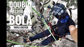 Tree Climbing  Triple Crotch Double Bulldog Bon  Bola  Gopro  Dmm Captain Hook [upl. by Aznaed]