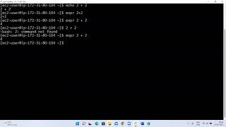 16  df du echo expr export commands in Linux Contact 918123997688 [upl. by Kin]