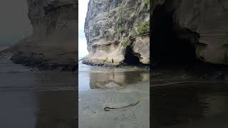 Challenging Nature from Muriwai Beach New Zealand 🇳🇿 [upl. by Enoj]