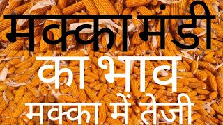 आज का मक्का का भाव Maize Mandi Bhav Todayआज का मक्का का रेट Makka ka BhavMakka ka ratealistore [upl. by Arukas]