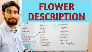 DESCRIPTION OF FLOWER  TECHNICAL TERMINOLOGY OF FLOWER  Zeeraks Biology [upl. by Cedell]