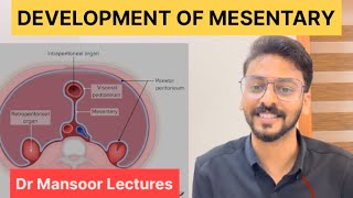 Development of Mesentery  Anatomy Dr Mansoor Malayalam Lecture [upl. by Colbye]