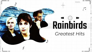 Rainbirds Greatest Hits Recap 1987  2014 [upl. by Artenahs]