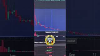 Meme Coin Presale Prognose gdog beercoin flopharrel [upl. by Ransell]