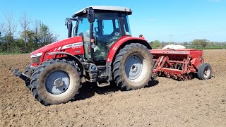 Massey Ferguson 30 drill at work [upl. by Shandy]