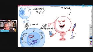 Epstein Barr Virus EBV Serology [upl. by Hijoung]