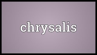 Chrysalis Meaning [upl. by Squier]