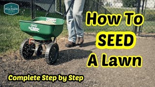 How To Seed a Lawn  Complete Step By Step Guide [upl. by Oletha794]