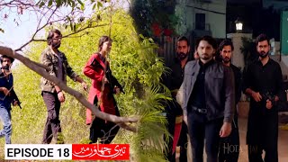 Teri Chhaon Mein Episode 18 Review  Wadeema Mujhe Chor Do  Danish Taimoor  Laiba [upl. by Anissa]