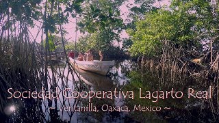 Rebuilding a mangrove swamp in La Ventanilla Oaxaca Mexico English subtitles [upl. by Anelec]