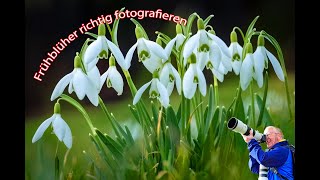 Frühblüher richtig fotografieren [upl. by Shoemaker266]