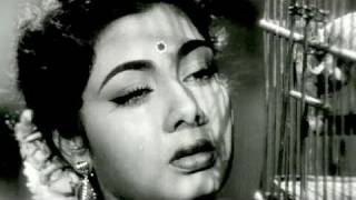 Kadar Jane Na  Nimmi Lata Mangeshkar Bhai Bhai Song [upl. by Jamaal]