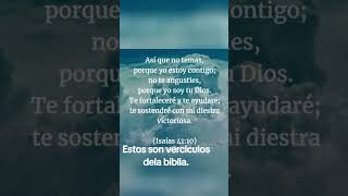 VERSOS DE LA BIBLIA [upl. by Kitti70]