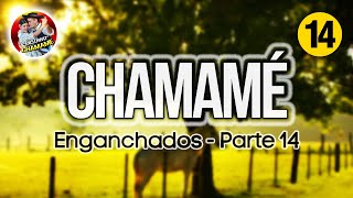 ✅ENGANCHADOS de CHAMAMÉ 2024 🎼 quotParte 14quot 🎼EXCLUSIVO CHAMAME 2024✅ [upl. by Emogene]