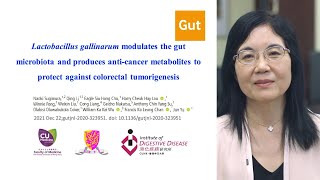 Lactobacillus gallinarum gut microbiota and anticancer metabolites [upl. by Pederson61]