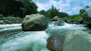 Beautiful Nature River flowing in Forest Asia Relaxing River Sounds Nature White Noise for Sleep [upl. by Shuman844]