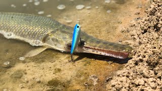 Gar Fishing with Lures [upl. by Reinwald831]