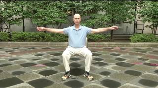 Sitting Tai Chi and Qigong Wellness Exercises [upl. by Llemmart]