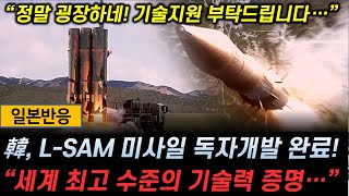 일본반응 한국 LSAM 장거리 지대공 미사일 독자개발 완료 quot세계 최고 수준의 기술력 증명quot [upl. by Reg]